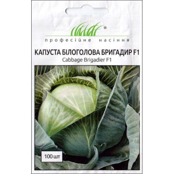Семена капусты белокочанной Бригадир F1 /100 семян/ *Профессиональные семена*