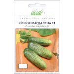 Огірок Магдалена F1 /50 насінин/ *Професійне насіння*