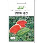 Арбуз Леди F1 /8 семян/ *Профессиональные семена*