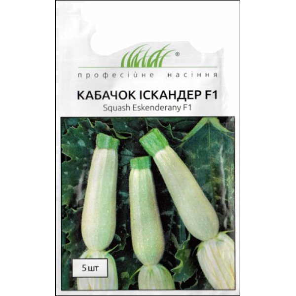 Семена кабачка-цуккини Искандер F1 /5 семян/ *Профессиональные семена*
