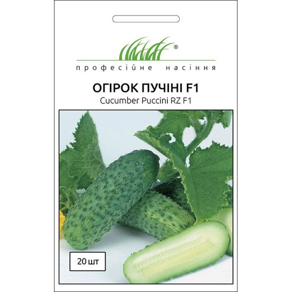 Насіння огірка Пучіні F1 /10 насінин/ *Професійне насіння*