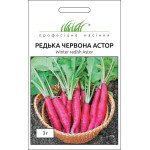 Редька Астор /3 г/ *Профессиональные семена*