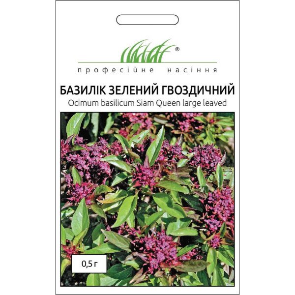 Насіння базиліка Гвоздичний /0,5 г/ *Професійне насіння*