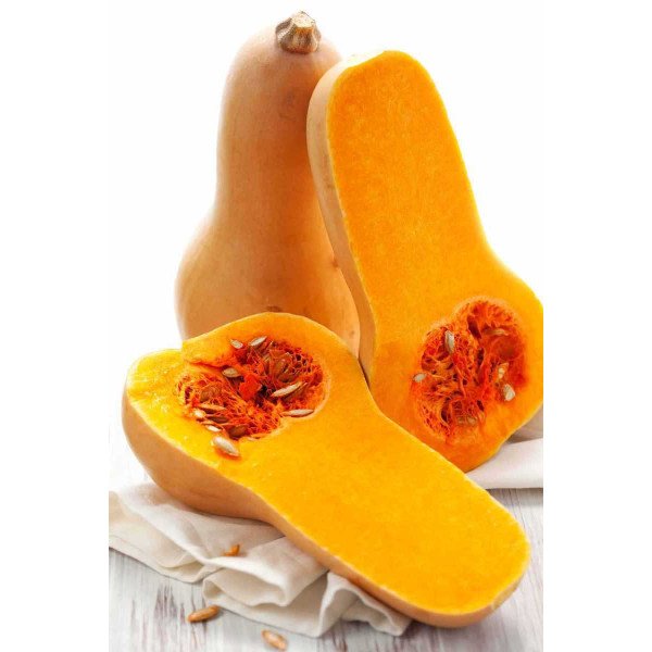 Семена тыквы Баттернат /2 г/ *Профессиональные семена*