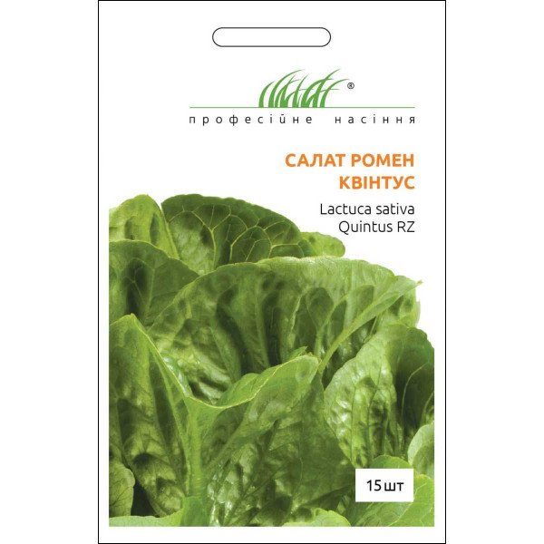 Насіння салату ромен Квінтус /15 насінин/ *Професійне насіння*