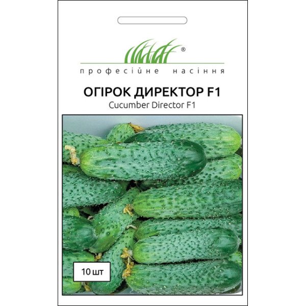 Насіння огірка Директор F1 /10 насінин/ *Професійне насіння*