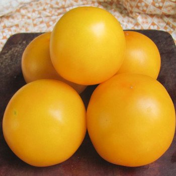 Томат Єлоу Чір F1 /10 насінин/ *Професійне насіння*