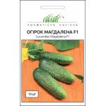 Огірок Магдалєна F1 /10 насінин/ *Професійне насіння*