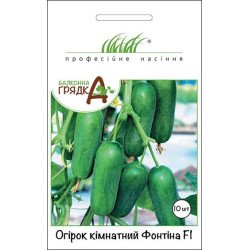 Огірок Фонтіна F1 /10 насінин/ *Професійне насіння*