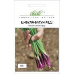 Лук батун Реди /0,5 г/ *Профессиональные семена*
