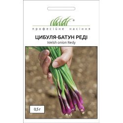 Цибуля батун Реді /0,5 г/ *Професійне насіння*