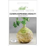 Селера коренева Ілона F1 /0,03 г/ *Професійне насіння*