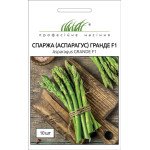 Спаржа Гранде F1 /10 насінин/ *Професійне насіння*