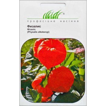 Физалис /0,1 г/ *Профессиональные семена*