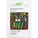 Огірок Вокал F1 /50 насінин/ *Професійне насіння*