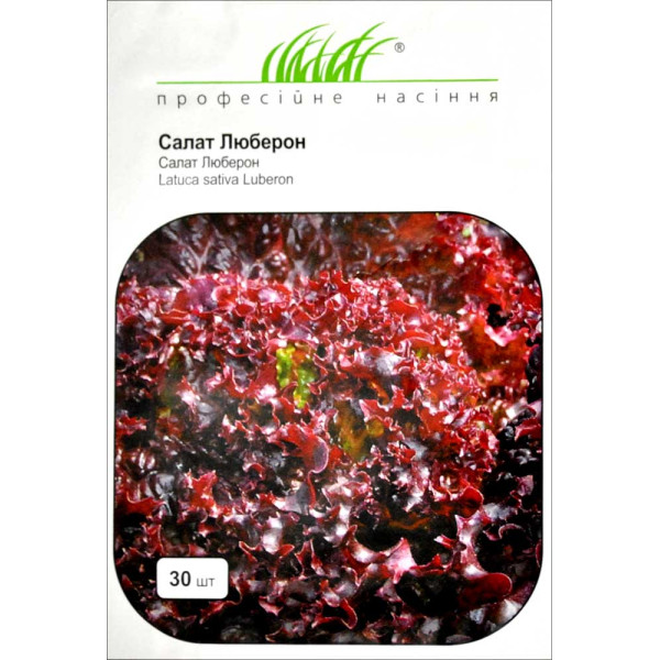 Насіння салату Люберон /30 насінин/ *Професійне насіння*