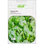 Шпинат Боа /200 семян/ *Профессиональные семена*