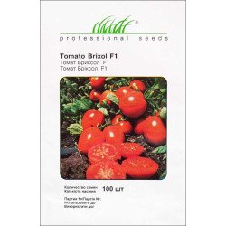 Томат Бриксол F1 /100 семян/ *Профессиональные семена*