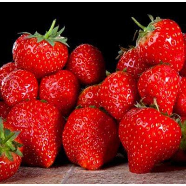 Насіння полуниці Ананасова /1.000 насінин/ *Hem Zaden*