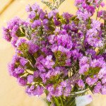 Кермек Рожева ніжність /10 г/ *Hem Zaden*