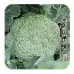 Капуста броколі Трубадур /1.000 насінин/ *Наско*