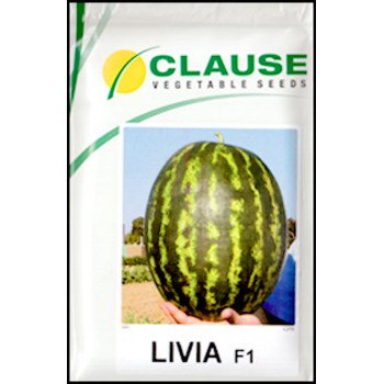 Арбуз Ливия F1 /1.000 шт/ *Clause*