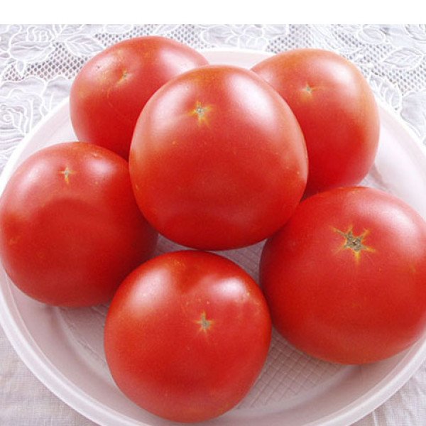 Семена томата Лорели F1 /1.000 шт/ *Clause*