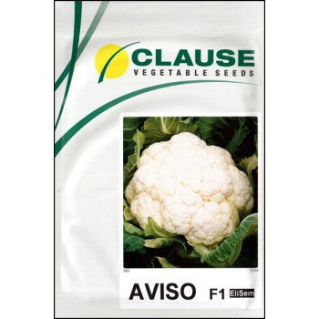 Капуста цветная Авизо F1 /1.000 шт/ *Clause*