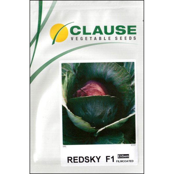 Насіння капусти червонокачанної Редскай F1 /1.000 шт/ *Clause*