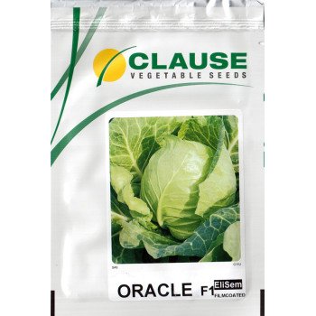 Капуста белокочанная Оракл F1 /10.000 шт/ *Clause*