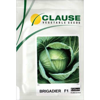 Капуста белокочанная Бригадир F1 /2.500 шт/ *Clause*