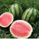 Семена арбуза Виктория F1 /1.000 семян/ *Nunhems Zaden*