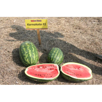Арбуз Карнаката F1 /1.000 семян/ *United Genetics*