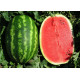 Семена арбуза Призматика F1 /1.000 семян/ *United Genetics*