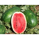 Семена арбуза Эрли Саманта F1 /1.000 семян/ *United Genetics*