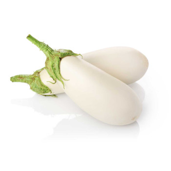 Баклажан Бібо F1 /1.000 насінин/ *Seminis*