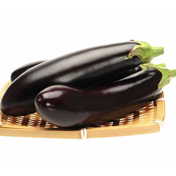 Семена баклажана Найт Леди F1 /1.000 семян/ *United Genetics*