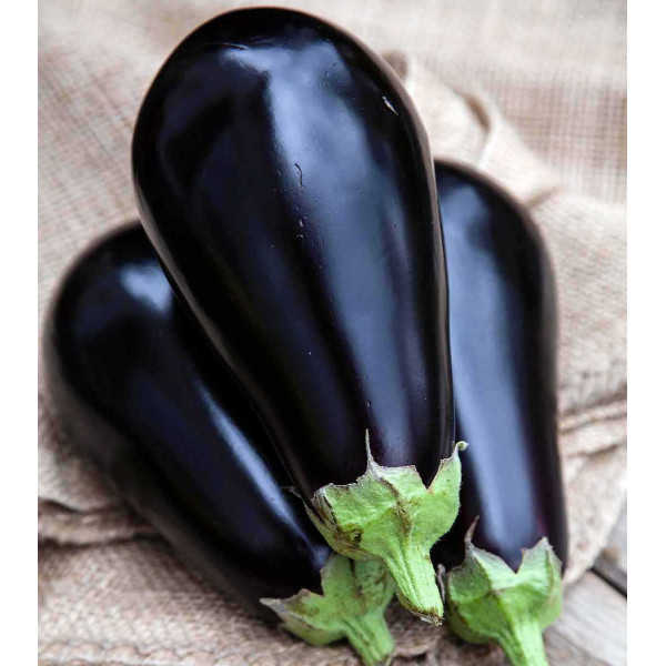 Семена баклажана Перфекшен F1 /1.000 семян/ *United Genetics*