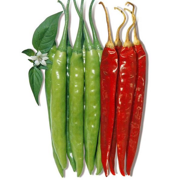 Семена перца острого Ангарика F1 /500 семян/ *Nong Woo Bio*