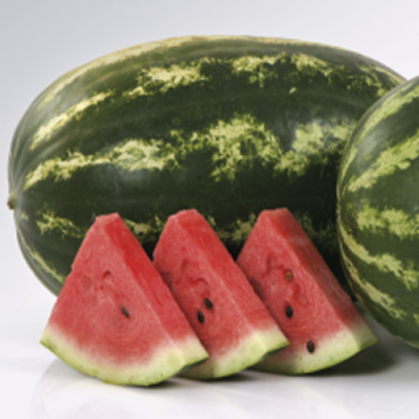 Насіння кавуна Думара F1 /500 насінин/ *Nunhems Zaden*