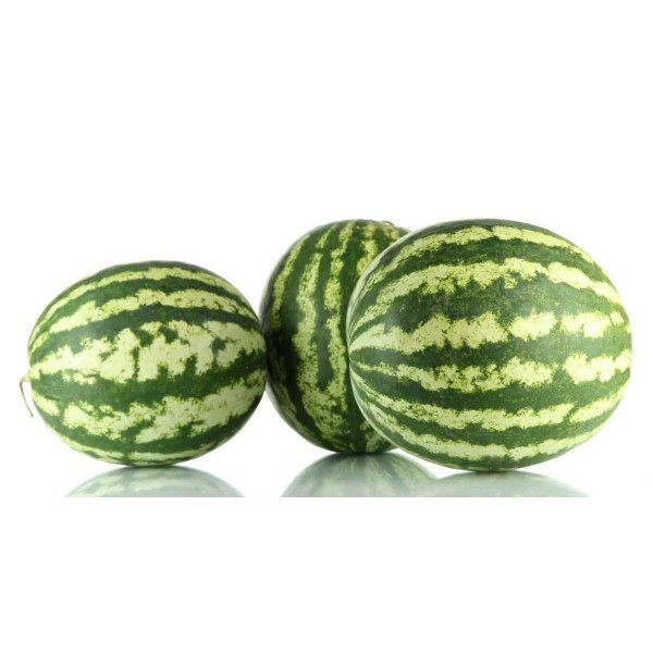 Насіння кавуна АУ Продюсер /10 кг/ *United Genetics*