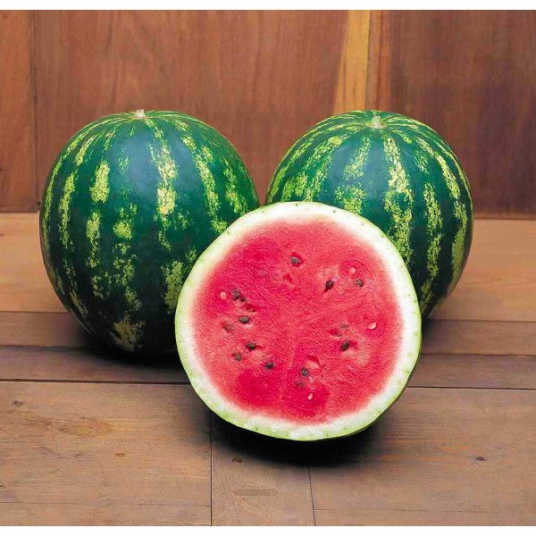 Семена арбуза Кримсон Свит /0,5 кг семян/ *Tezier*