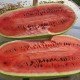 Насіння кавуна Чарльстон Грей /0,5 кг насіння/ *Tezier*