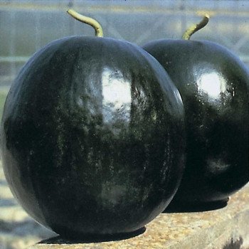 Кавун Шуга Бейбі /0,5 кг насіння/ *Anseme*