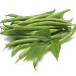 Квасоля Джина /0,5 кг насіння/ *May Seeds*