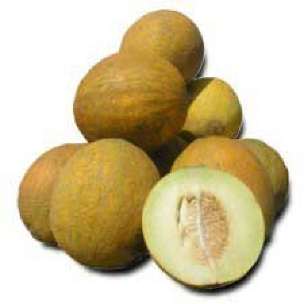 Насіння дині Роксолана F1 /1.000 насінин/ *Nunhems Zaden*