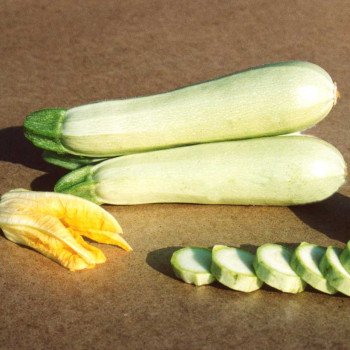 Кабачок Кавілі F1 /1.000 насінин/ *Nunhems Zaden*