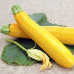 Кабачок Мери Голд F1 /1.000 семян/ *Tezier*