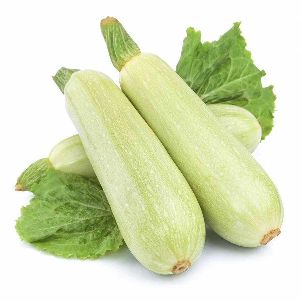 Насіння кабачка Сангрум F1 /1.000 насінин/ *Nunhems Zaden*