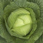 Капуста білоголова Скай Ейс F1 /2.500 насінин/ *Nong Woo Bio*